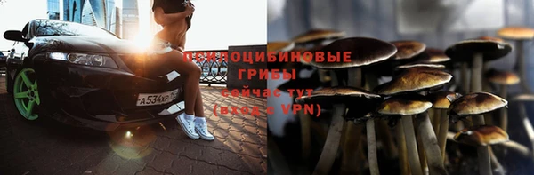 а пвп мука Новодвинск