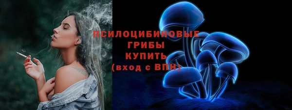 гашик Новокубанск
