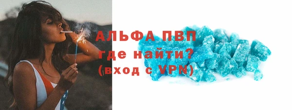 гашик Новокубанск