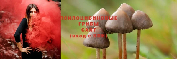 а пвп мука Новодвинск