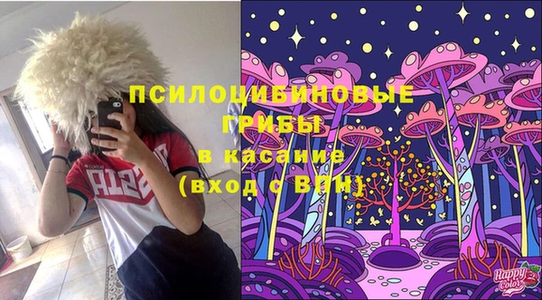 гашик Новокубанск