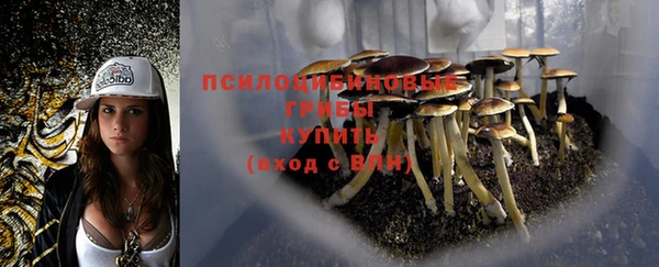 а пвп мука Новодвинск