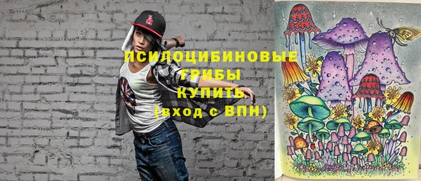 гашик Новокубанск