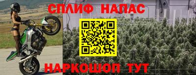 ГАЛЛЮЦИНОГЕННЫЕ ГРИБЫ Севастополь