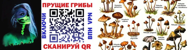 Галлюциногенные грибы MAGIC MUSHROOMS  Ярославль 