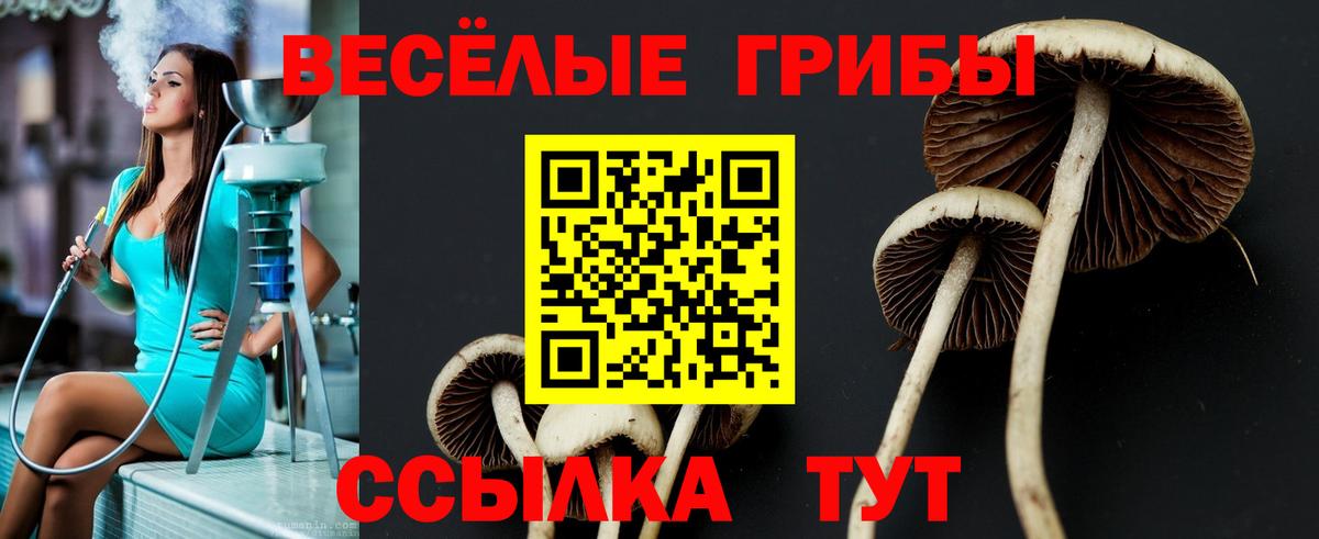 Псилоцибиновые грибы мицелий  Вход с VPN  Ярославль 