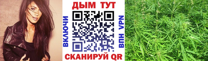 Каннабис план  цена наркотик  Ярославль 